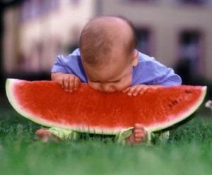 [baby_eat_melon1-300x248.jpg]