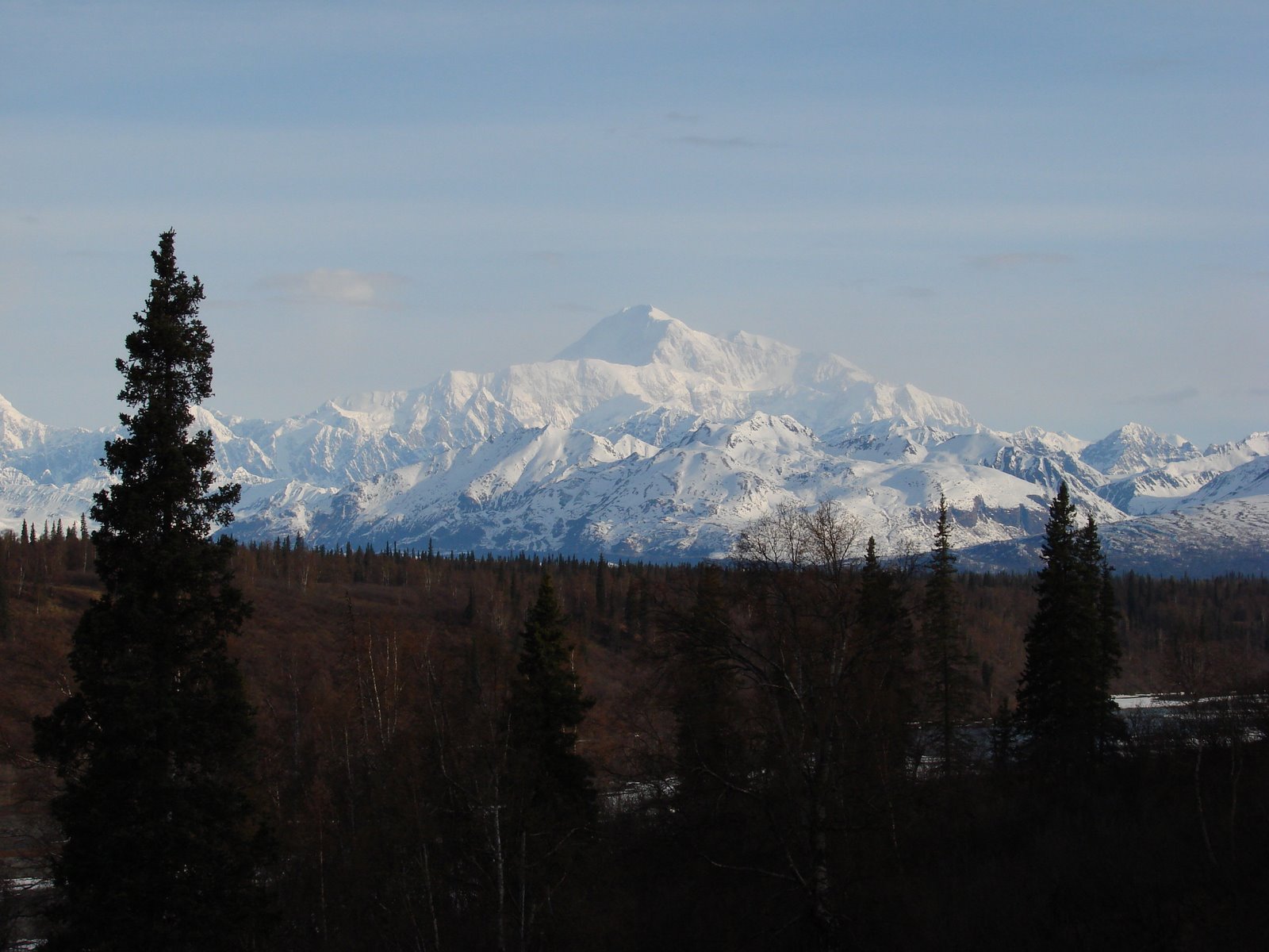 [Denali+from+the+South+View.JPG]