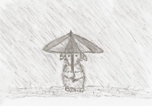 [Been-raining-for-weeks.jpe]