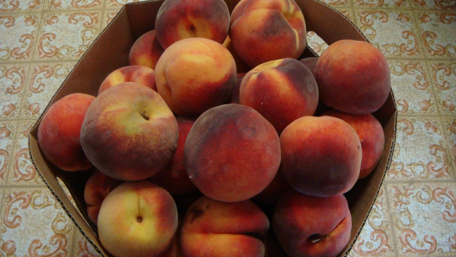 [peaches+003.JPG]