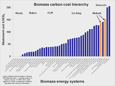 Biomass carbon cost hierarchy