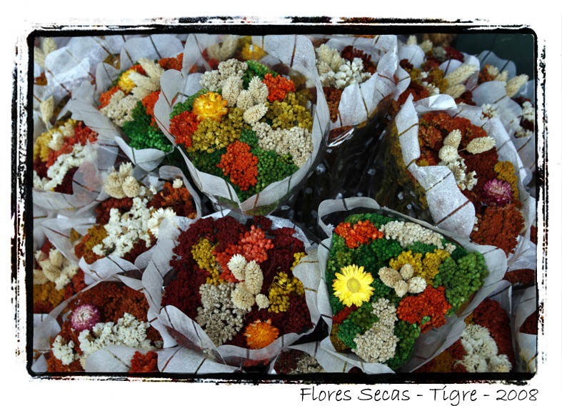 [Flores+Secas.jpg]
