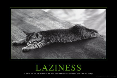 [484-1446_36_24~Laziness-Posters.jpg]