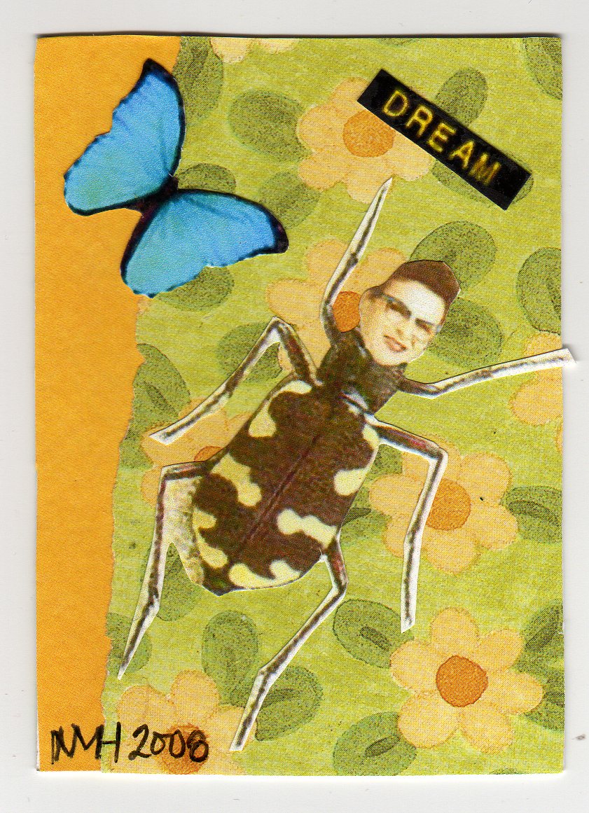 [ATC_dream_insects.jpg]