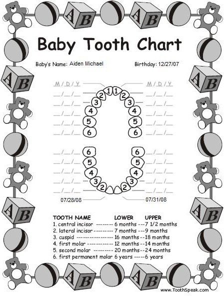[tooth+chart.jpg]