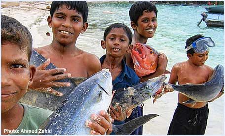 [Maldives-fishing-main.jpg]