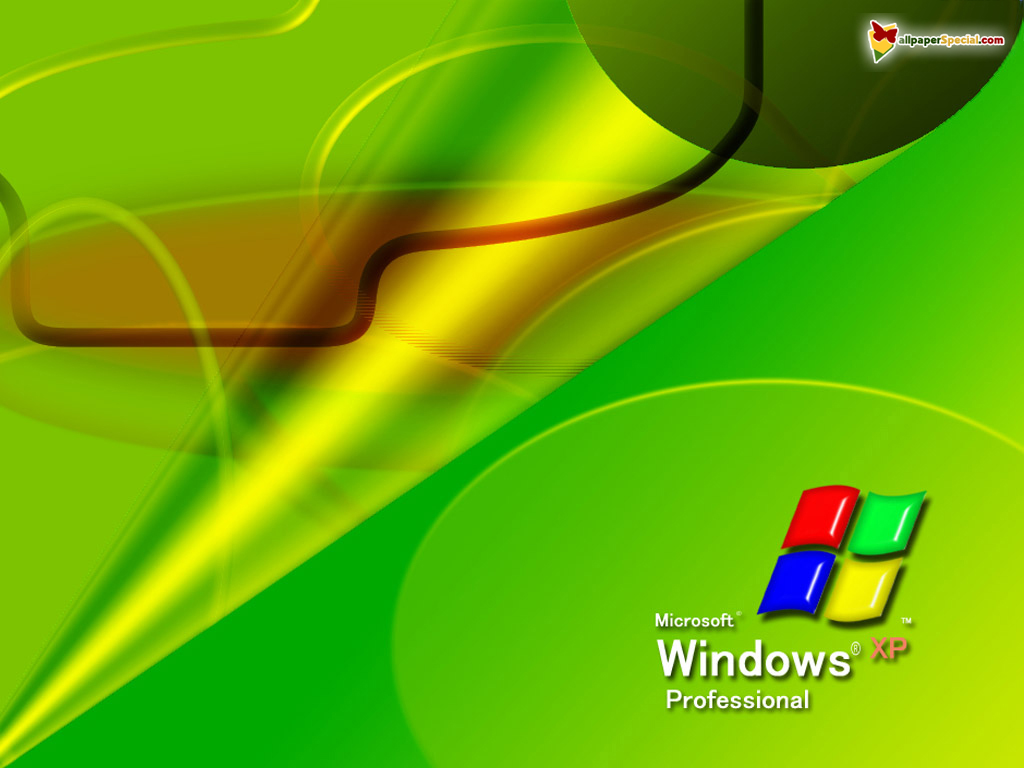 [windows137.jpg]