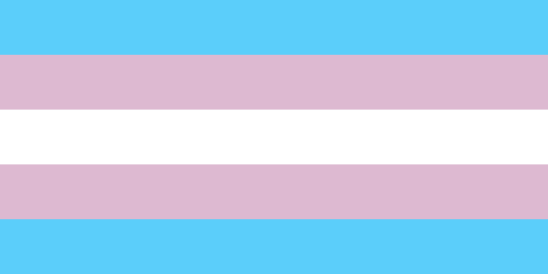 [800px-Transgender_Pride_flag.svg.png]