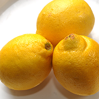 [lemon-citron.jpg]