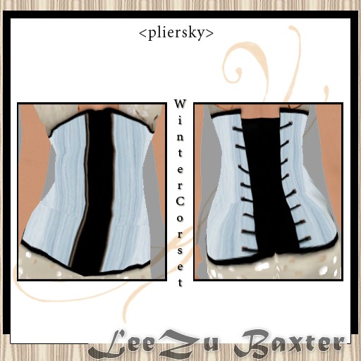 [Copy+of+corset+pliersky.jpg]