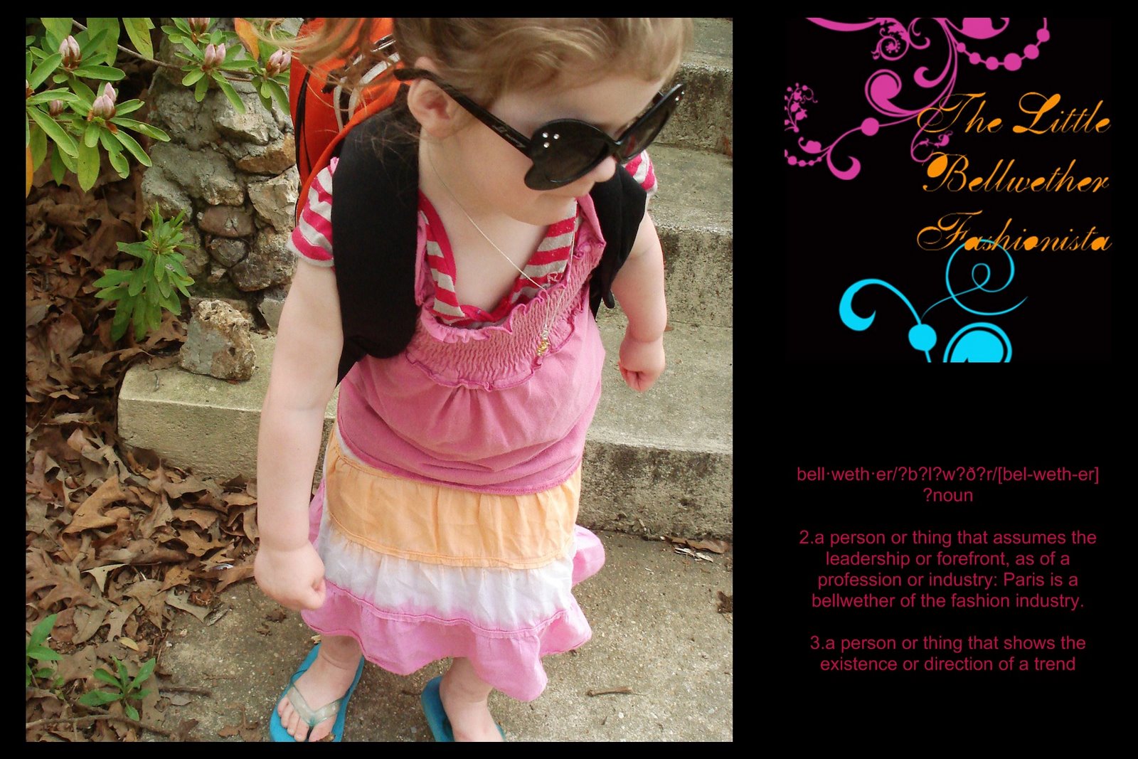 The Little Bellwether Fashionista