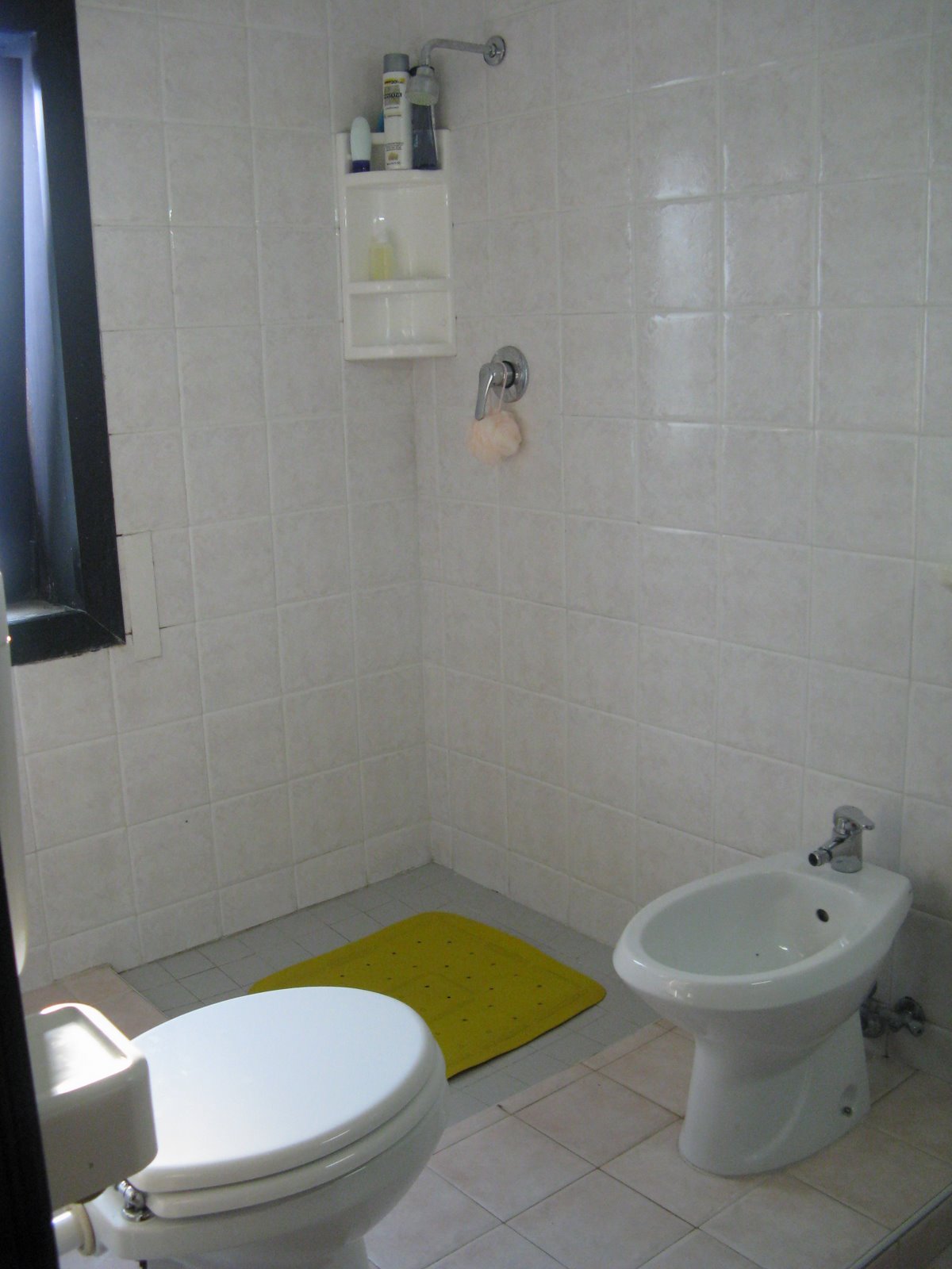 [Bathroom+with+totally+open+shower.JPG]