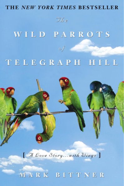 [Parrots.jpg]