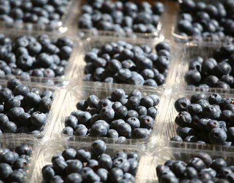 [blueberry-super-food2-lg.jpg]