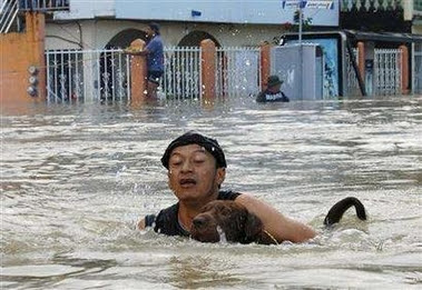 man, dog, Mexico, flood