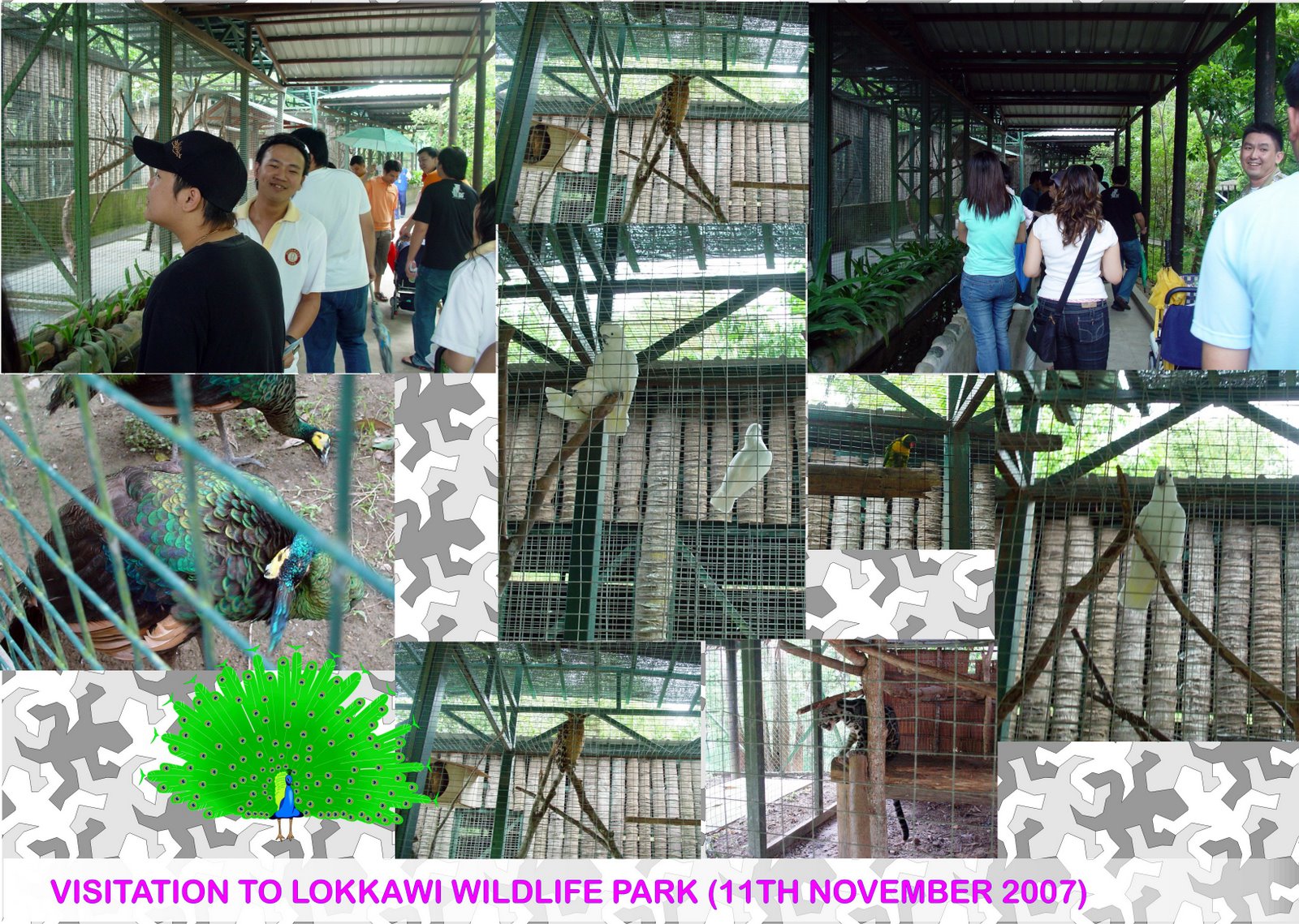 Visitation to Lokkawi Wildlife Park (11th November 2007)
