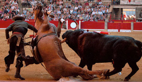 [bullfight48.jpg]