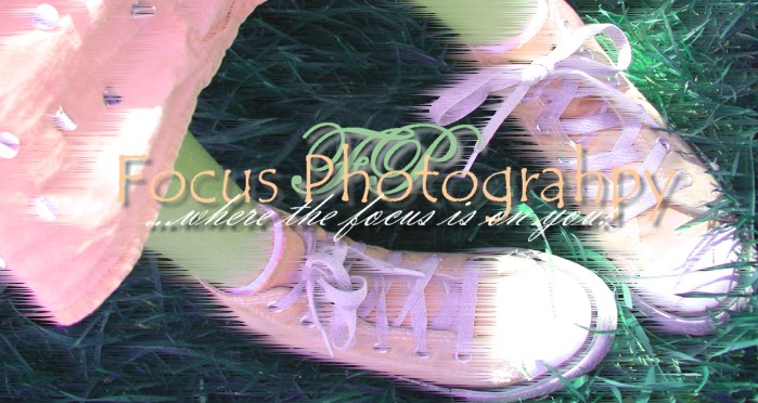focus photography by Melissa
