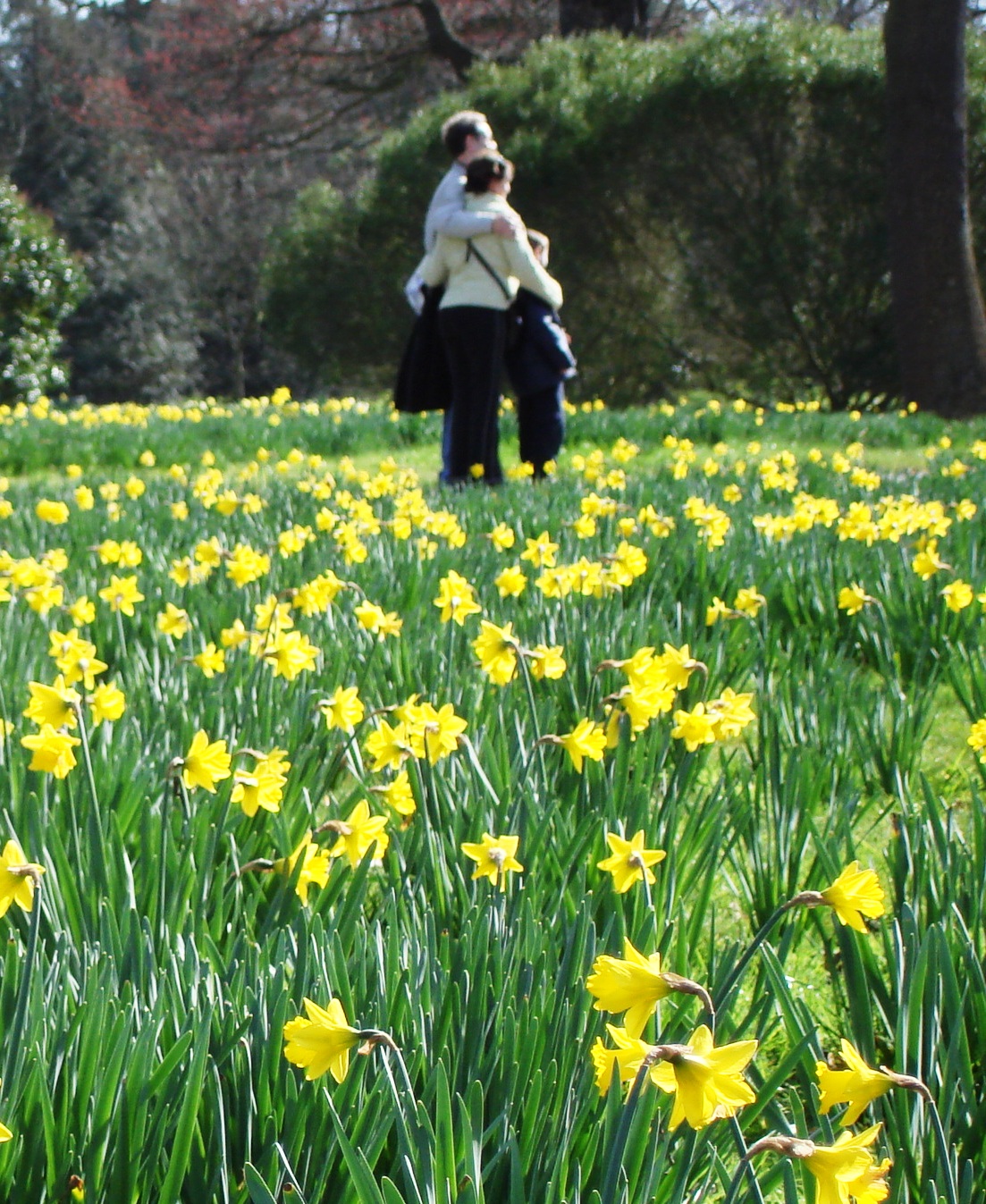 [Family+with+daffodils.jpg]