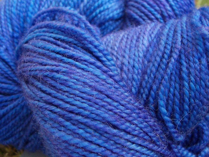 [blue+grape+hyacinth+4.jpg]
