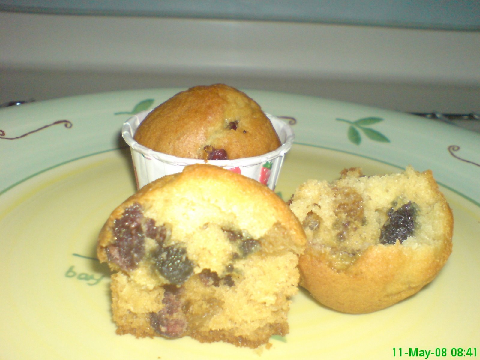 [Muffin2.JPG]