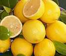 [Lemons_001.jpg]