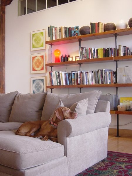 [bookshelves+and+doggie+via+apt+therapy.jpg]