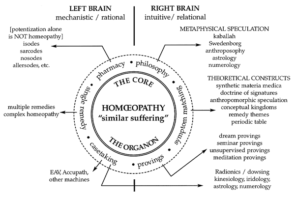 [diagram_homeopathy.gif]