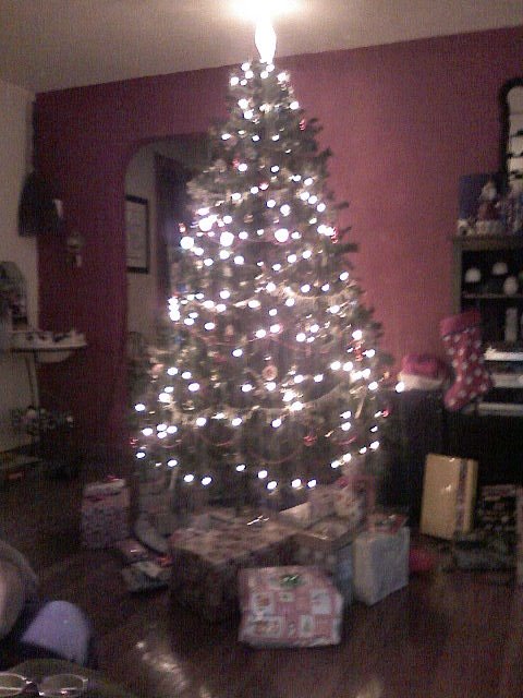[Christmas+Tree.bmp]