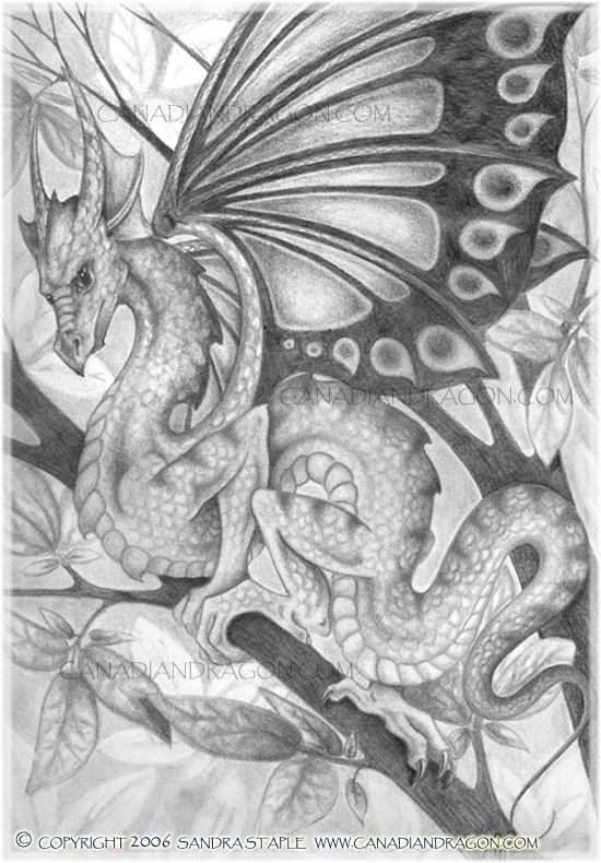 [dragon-fairy.jpg]