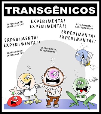 [transgenicos02.jpg]