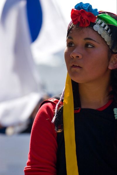 [400px-Mapuche.jpg]