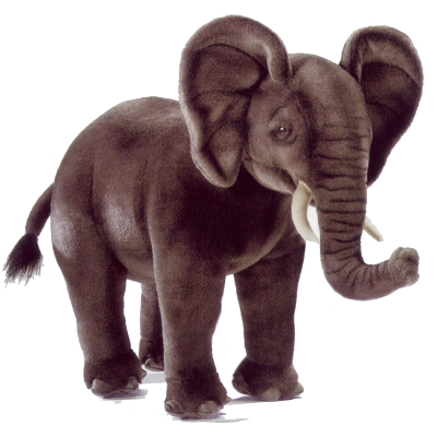 [Elephant.jpg]