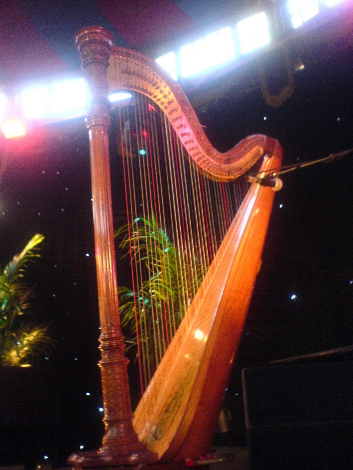 [joanna+newsom+harp.JPG]