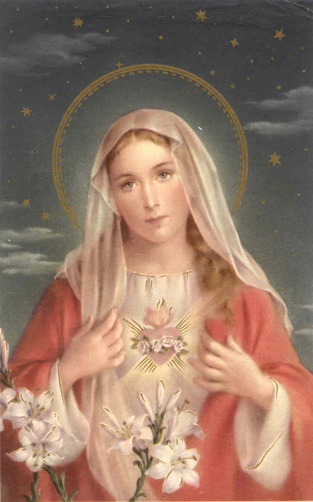[immaculate+heart+of+mary.jpg]