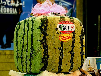 Chỉ có ở Nhật Bản Cube+watermelon