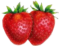 [strawberrie.gif]
