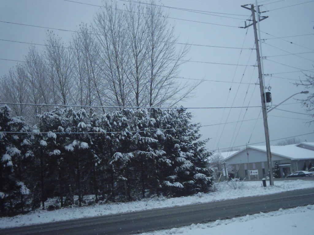 [1st+snow+004.jpg]