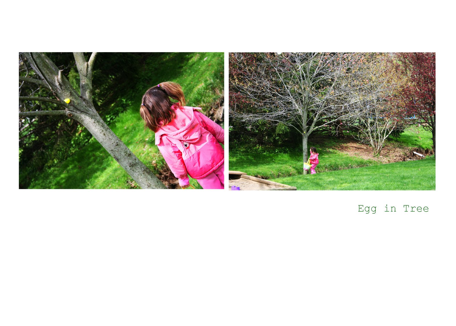 [egg+in+tree.jpg]