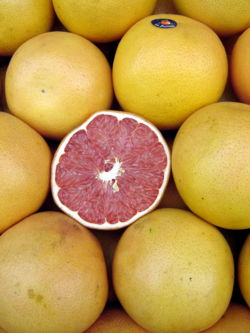 [250px-Pomelos_-_Grapefruits.jpg]