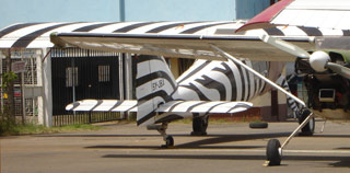 [zebra-plane.jpg]