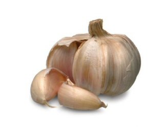 [Garlic.jpg]