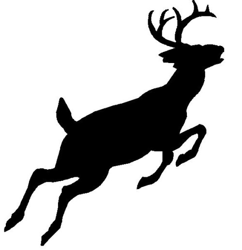 [jumping deer p.jpg]