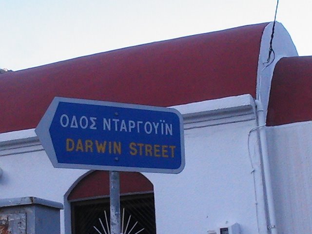 [darwin+street+(1).JPG]