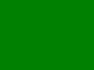 [green.bmp]