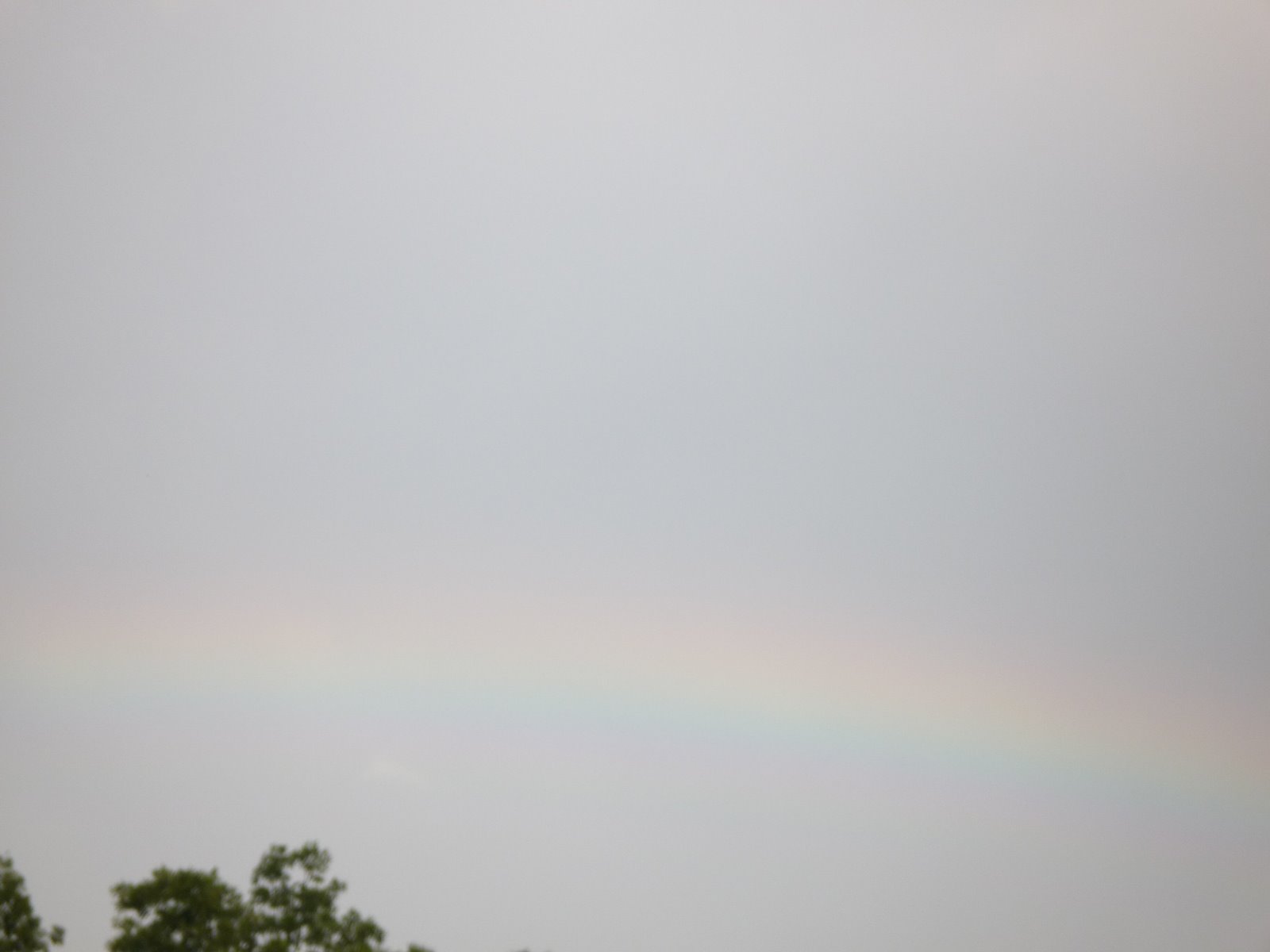 [rainbow2.jpg]