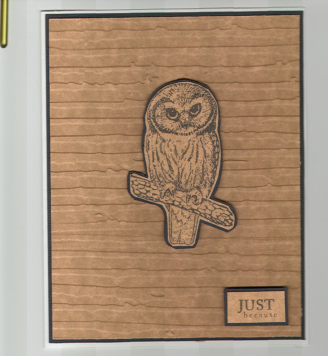 [Owl+card.jpg]