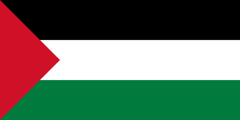 [800px-Flag_of_Palestine.svg.png]