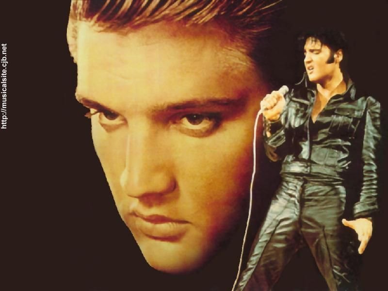 [Elvis+Presley.bmp]