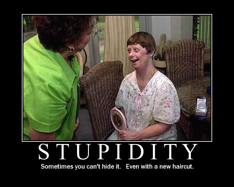 [stupidity5.jpg]